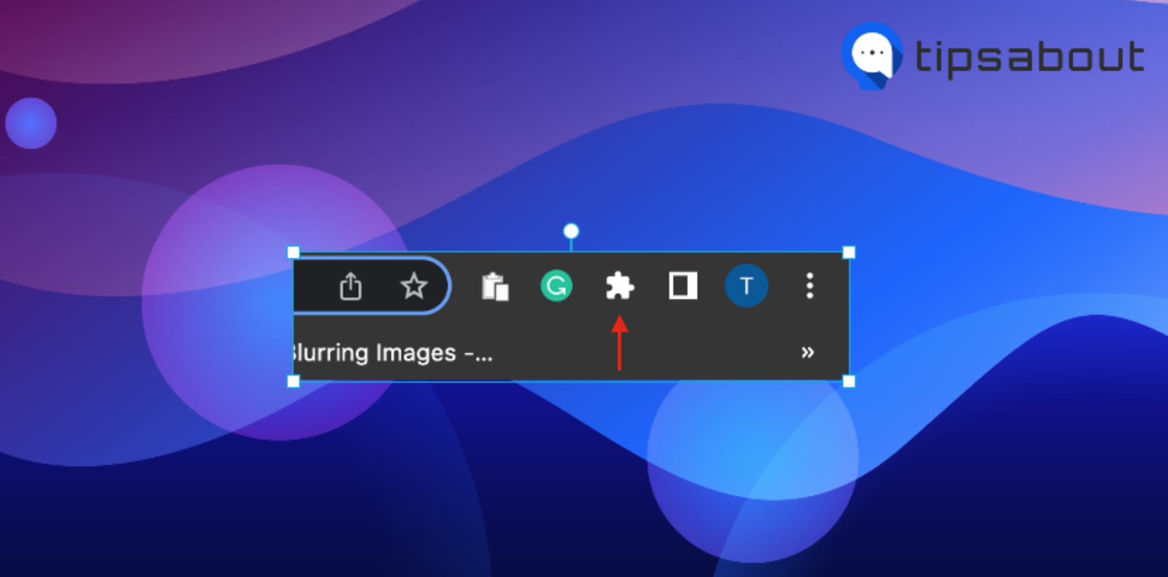 Extension icon on Google Chrome 