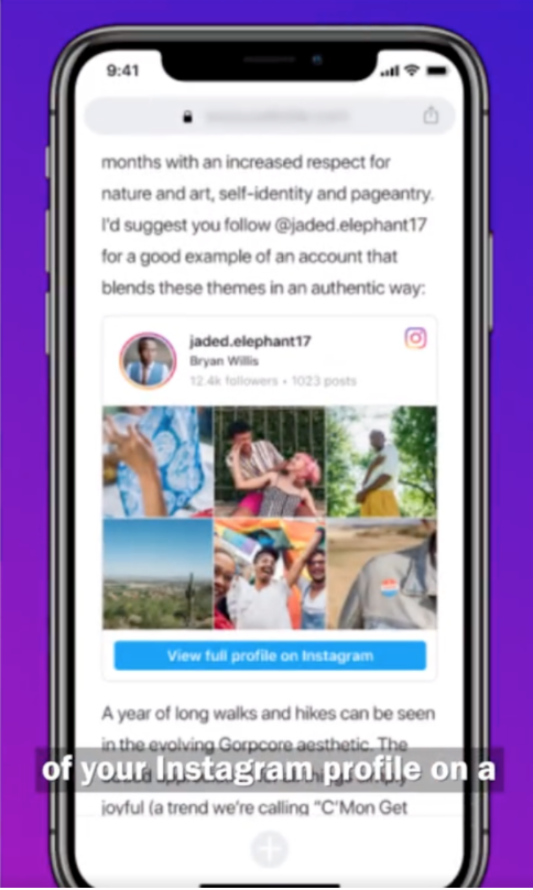 Instagram Profile Embed 