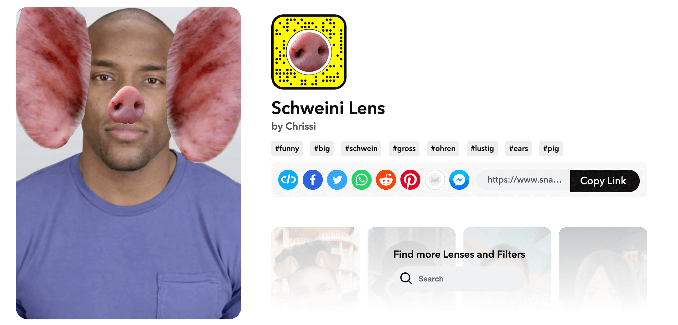 7 - schweini lens