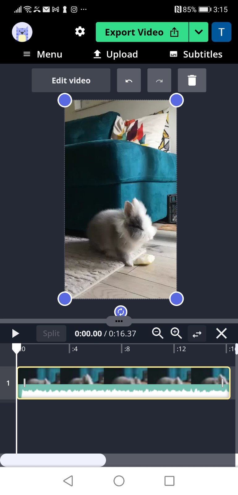 Crop TikTok video