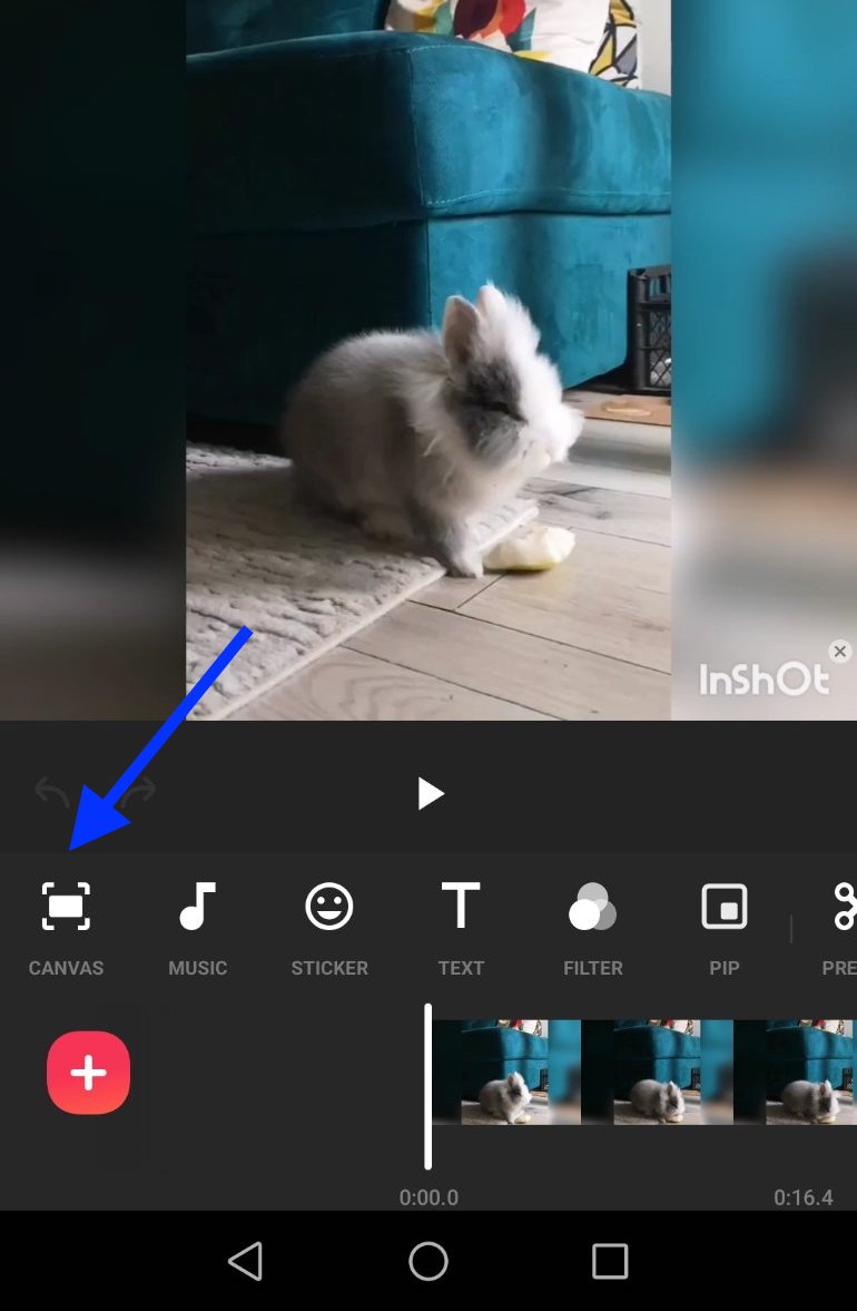 Crop TikTok video