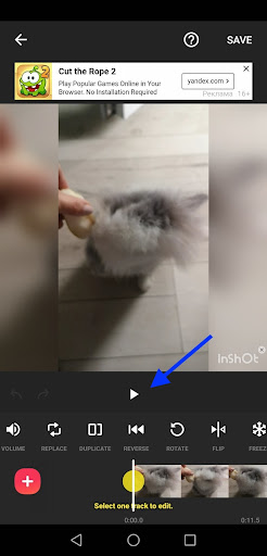 Inshot play reverse video option