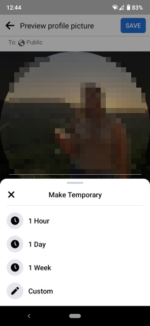 Make temporary - select time period