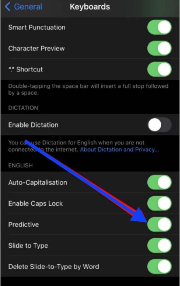 enable dictation 