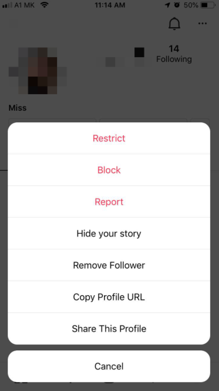 Instagram restrict messages