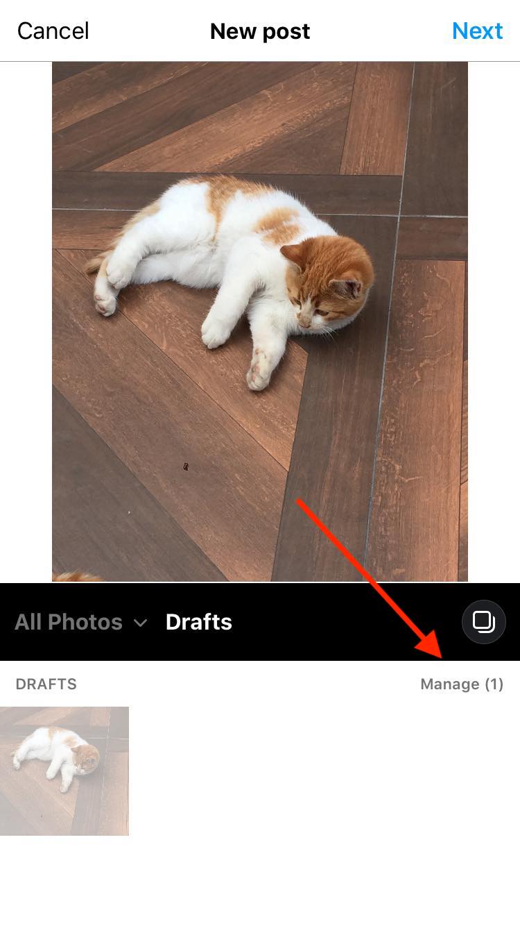 Instagram drafts manage option