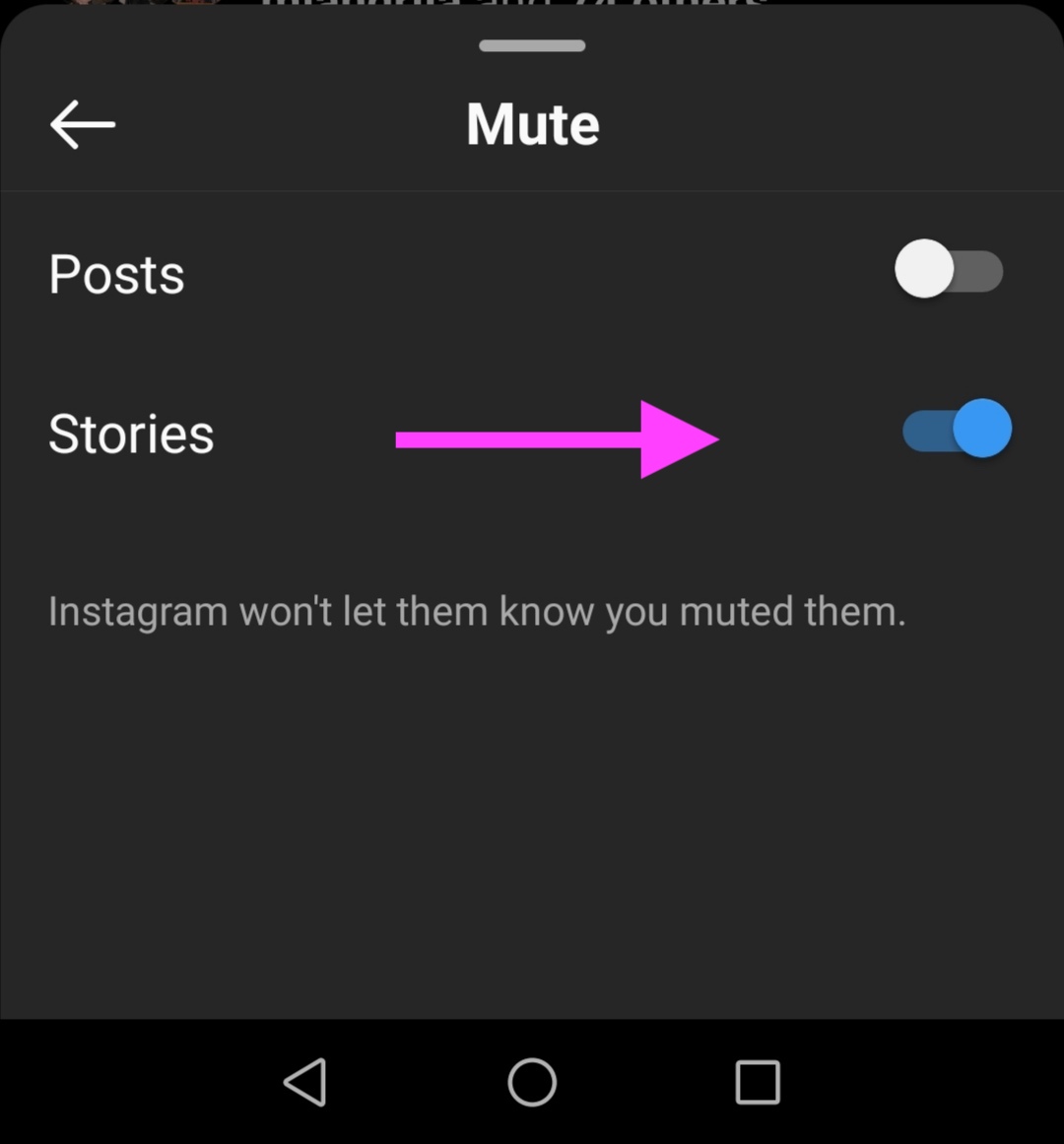 Mute story options on Instagram 
