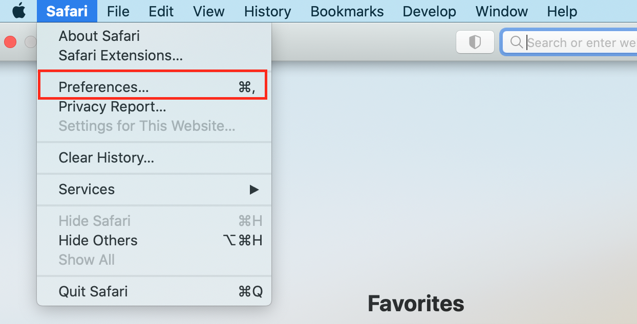 safari preferences