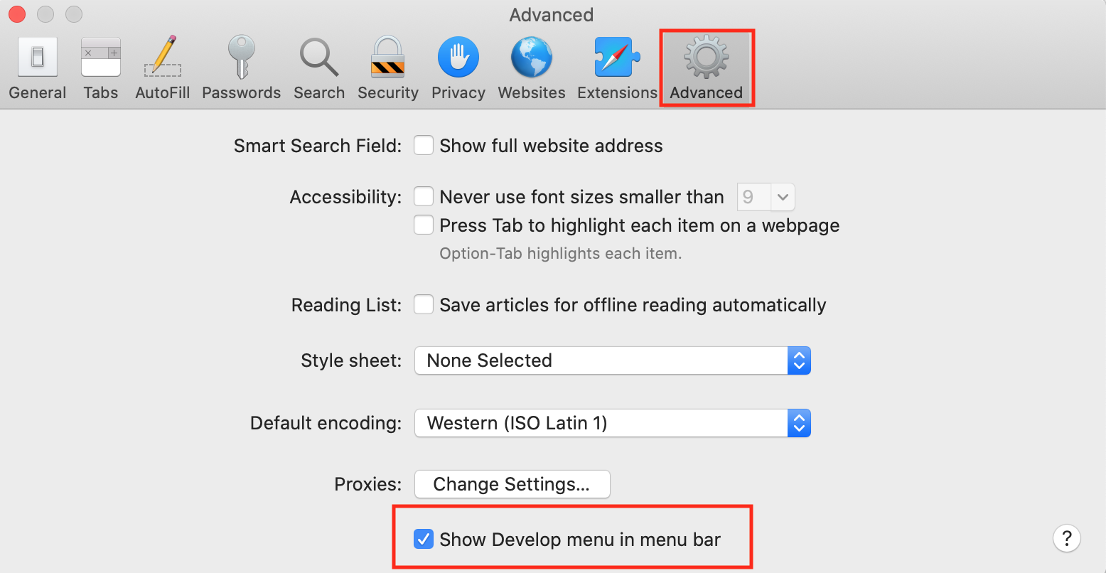 safari advanced settings