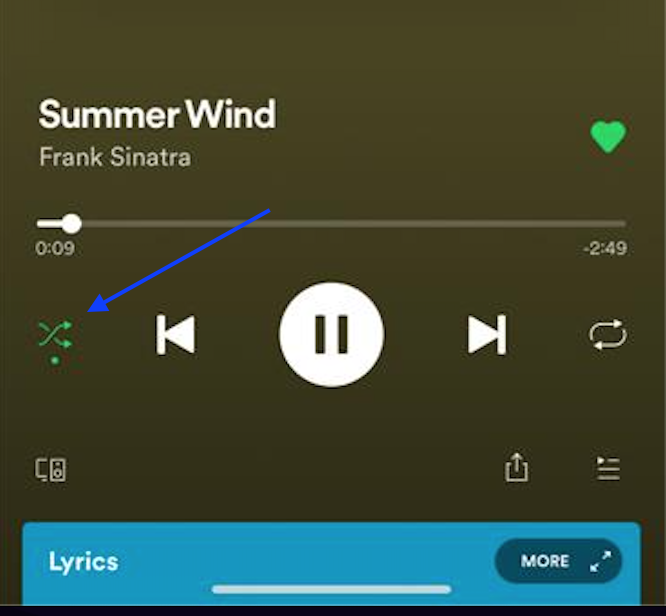 Shuffle on Spotify turned on