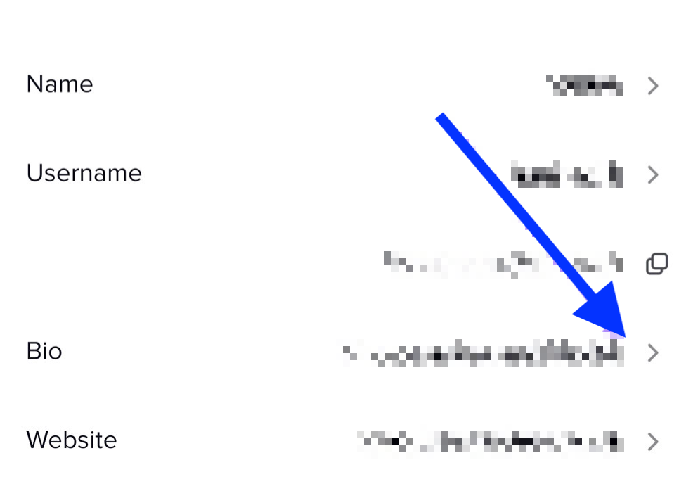 Bio changes - TikTok