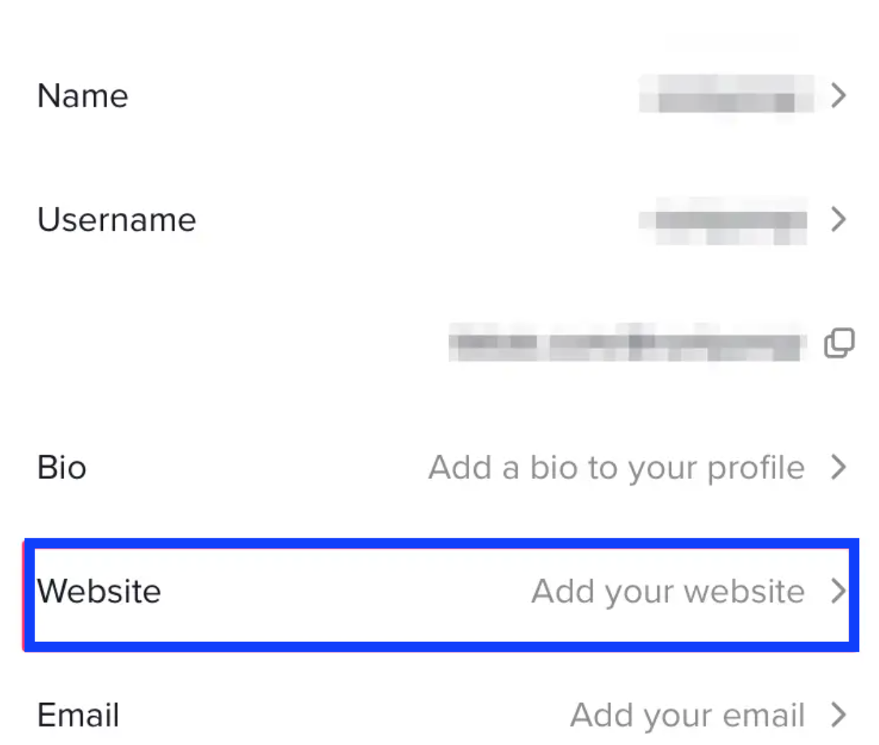 Add website bio - TikTok