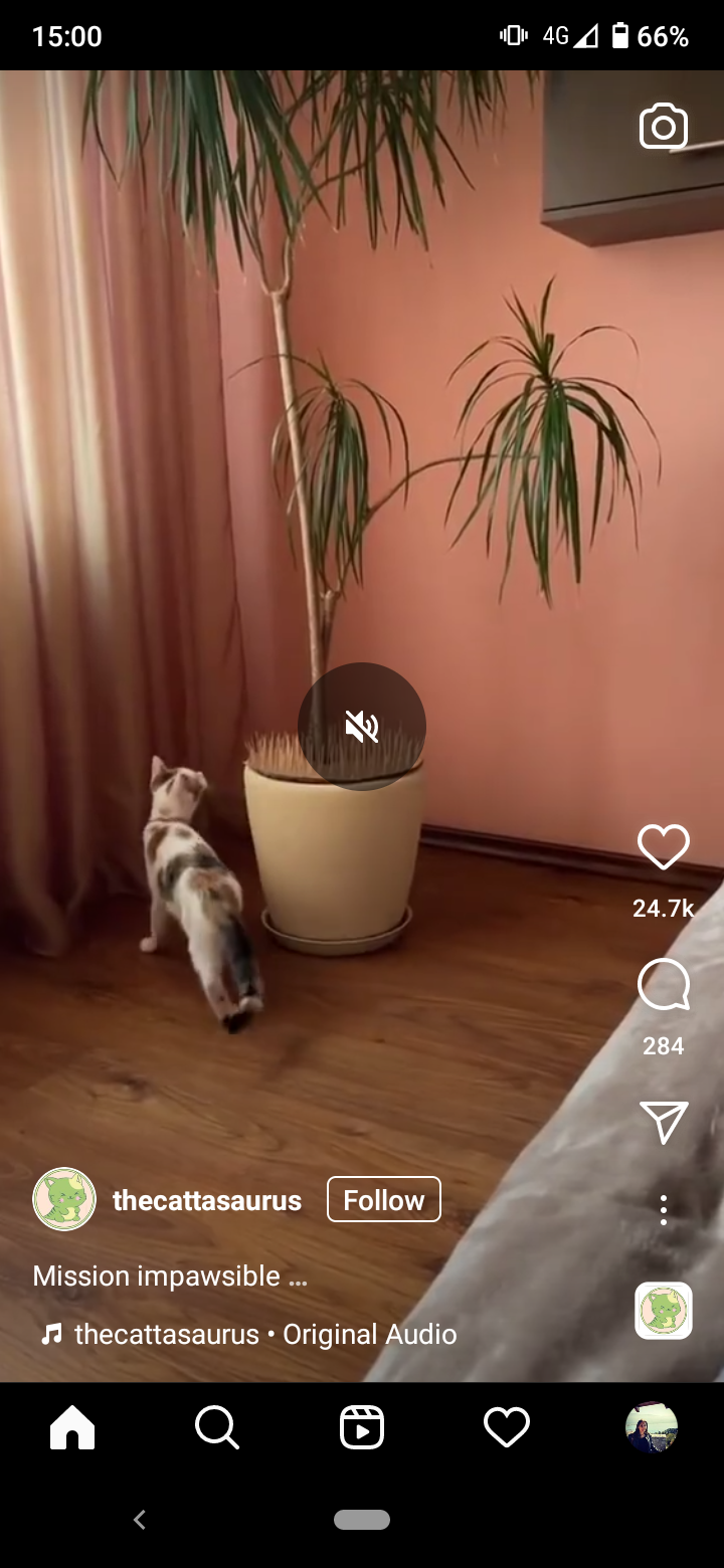 How To Pause Instagram Reels