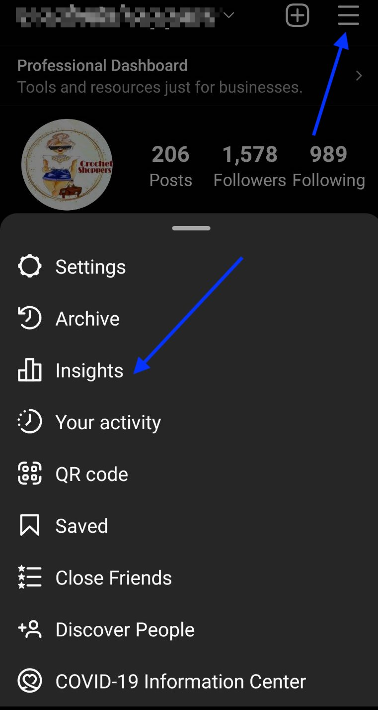 Instagram Insights option