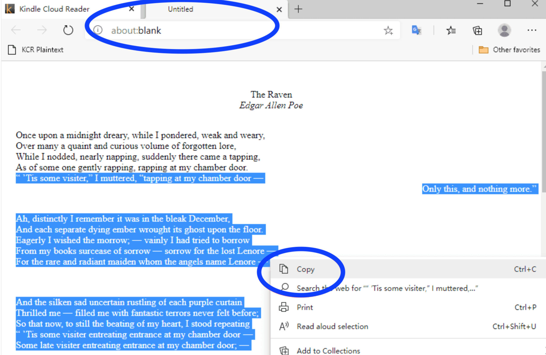 how-to-copy-and-paste-from-kindle-cloud-reader