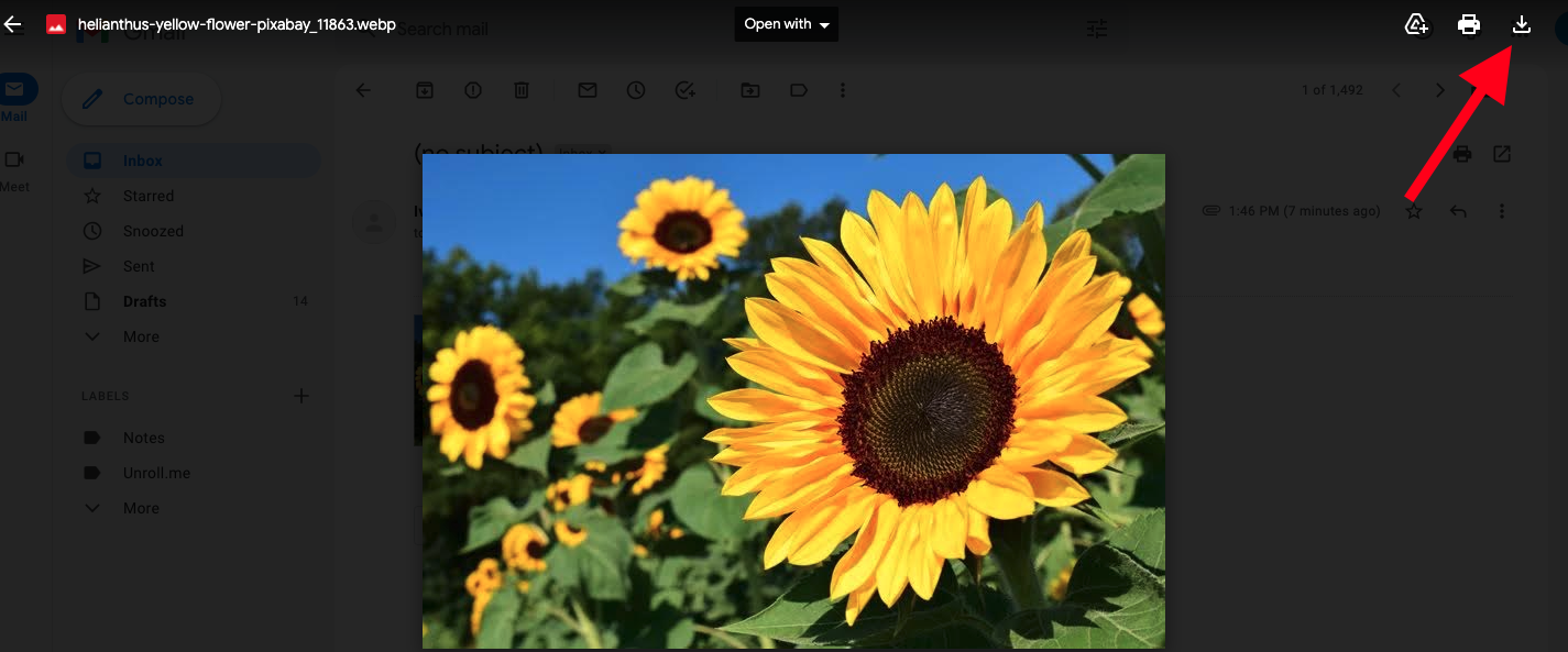 Save images on MacBook from Gmail - click on the download icon