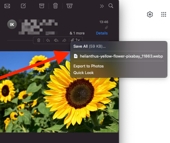 How to save images on MacBook from Apple Mail - Click on the ‘paperclip’ icon