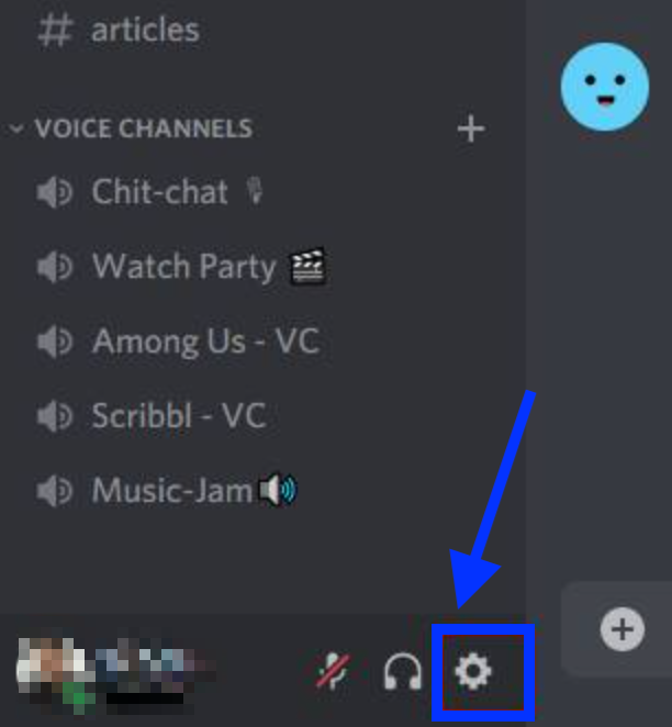 Discord Settings