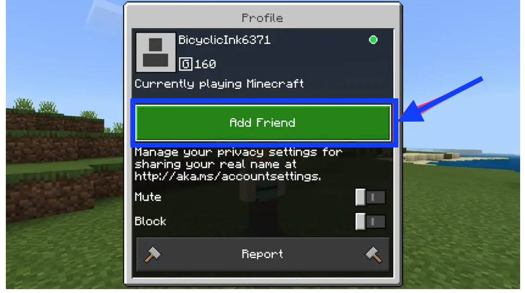 Add Friend - Minecraft options 
