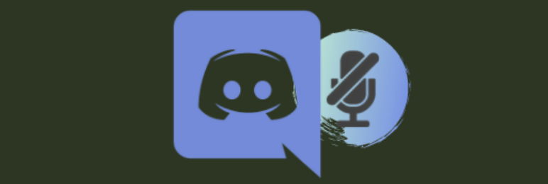 Discord mic image