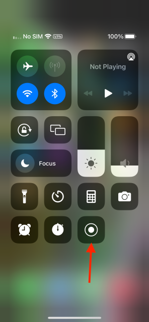 Tap on the Screen Recording button