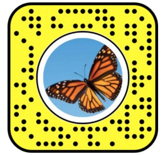 snapchat-butterflies-lens
