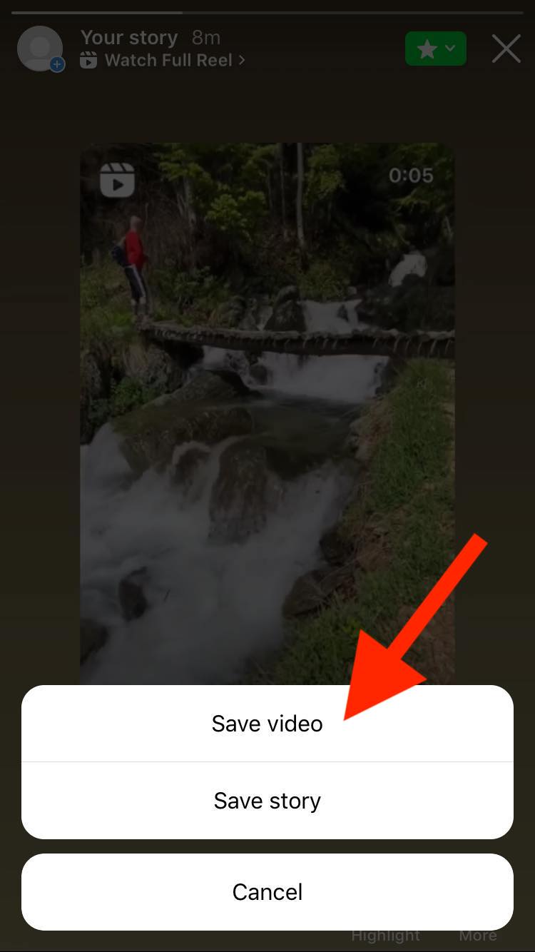 instagram save video option