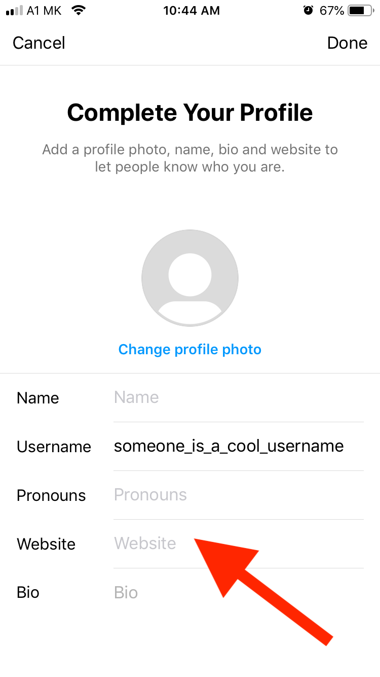 instagram website option