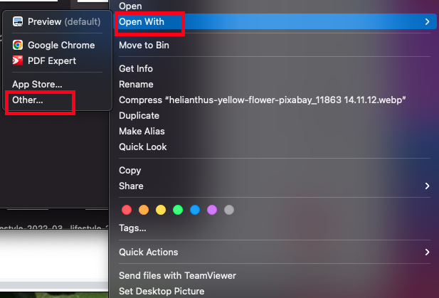 Go to 'Open With' > Other