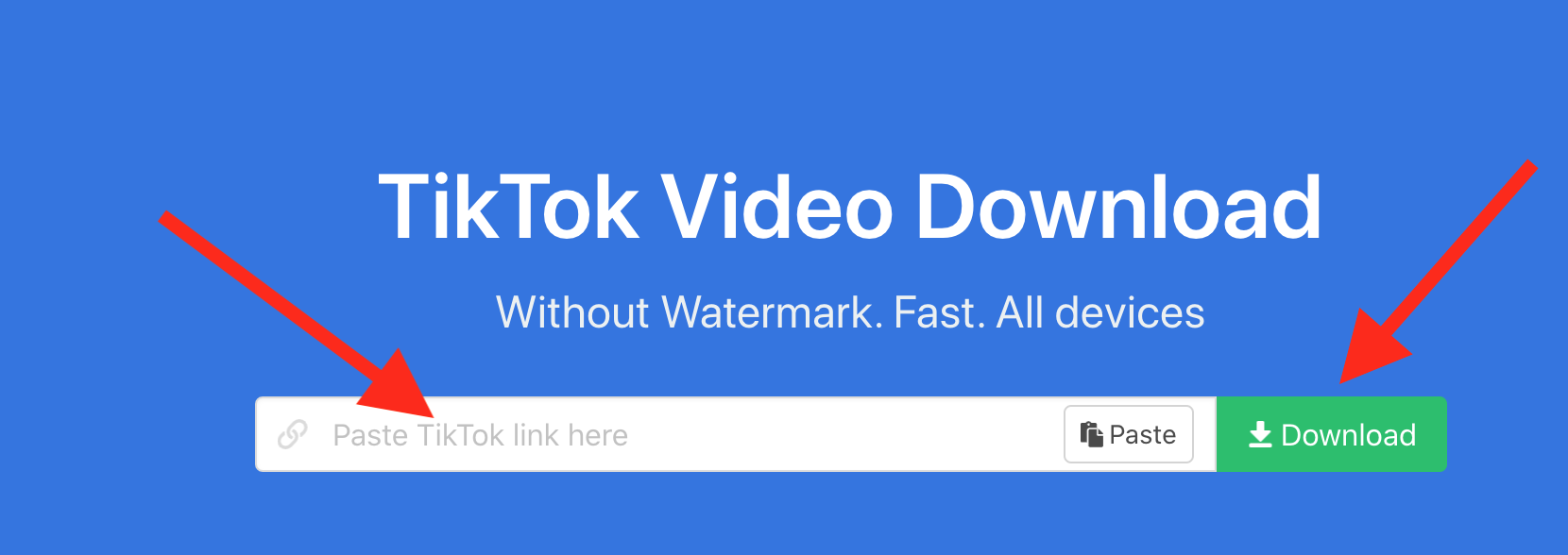 tiktok video downloader