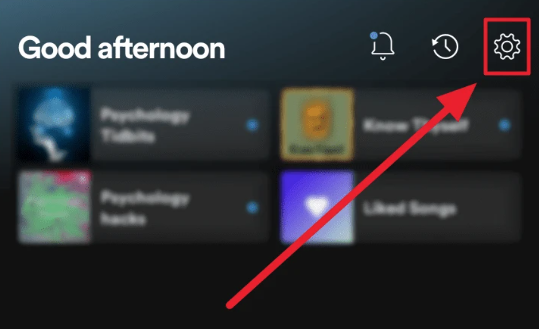 Settings icon - Spotify