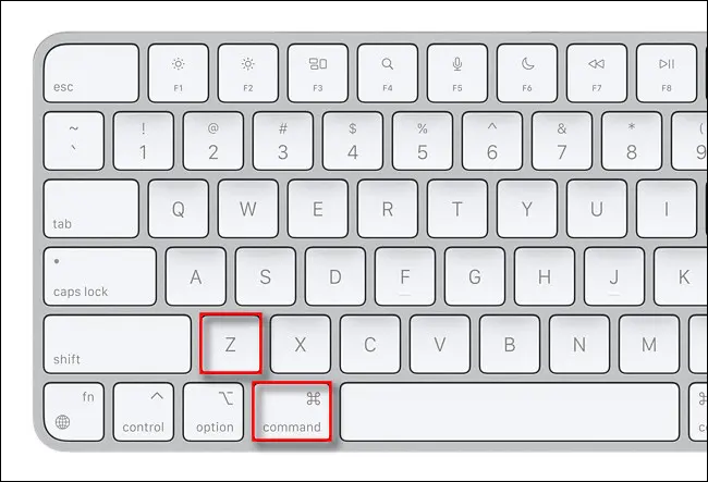 Press Command + Z on the keyboard do undo
