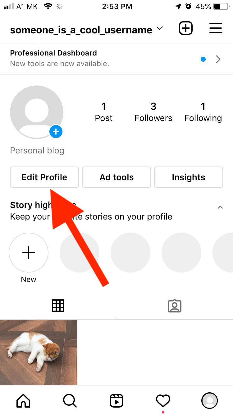 instagram edit profile