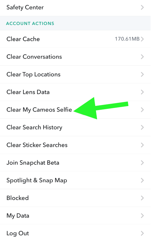 Clear my Cameo's selfie - Snapchat