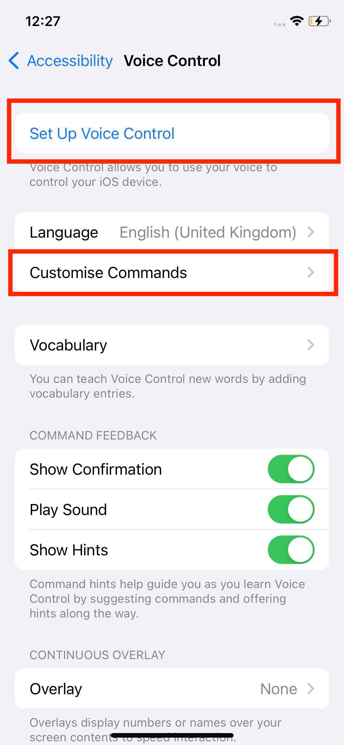 set up voice control and customize commands
