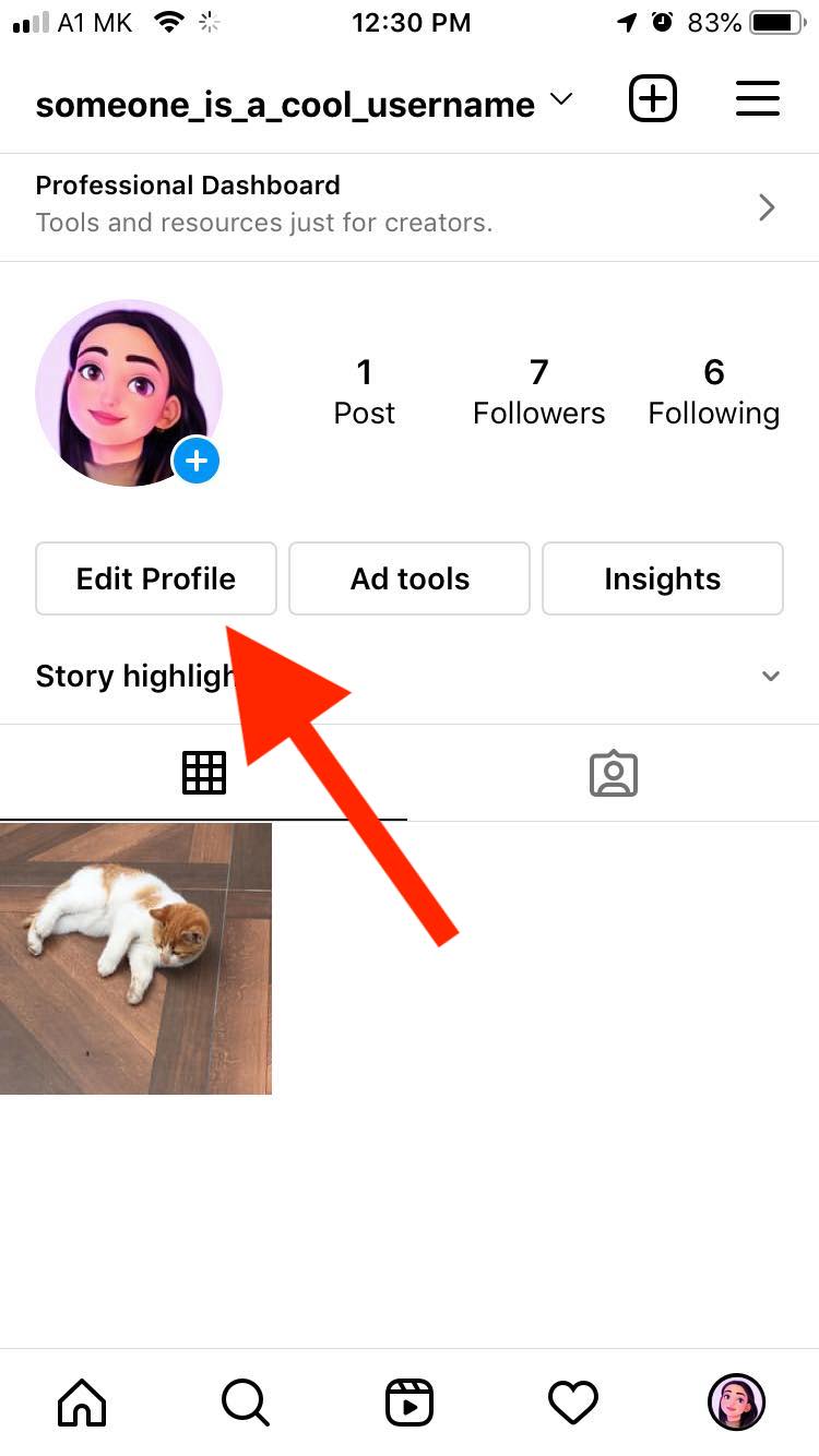 instagram edit profile button