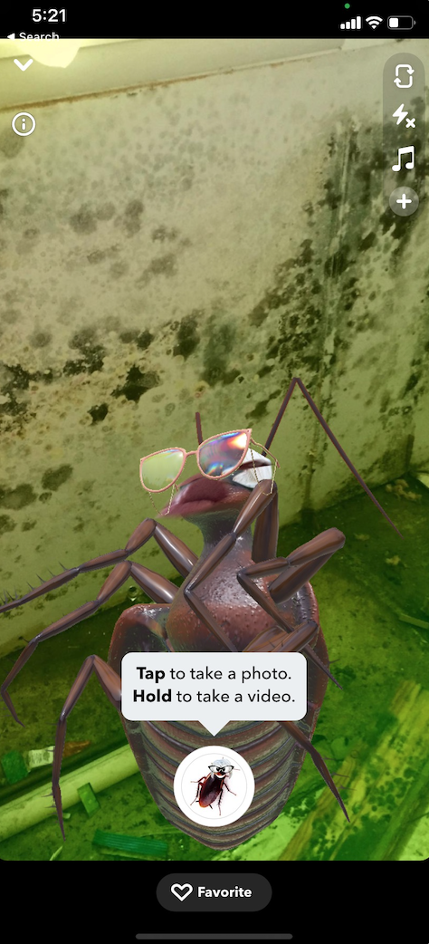 mom-cockroach-snap-lens