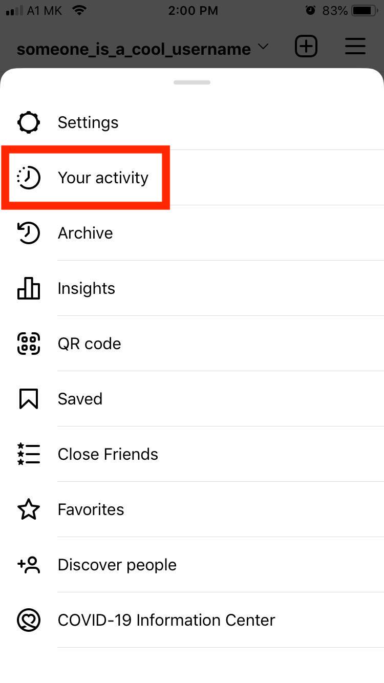 instagram your activity 