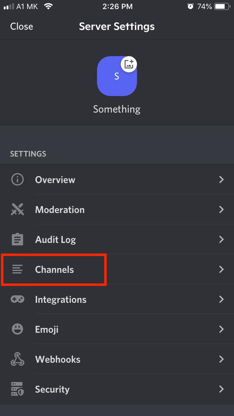 discord channel option