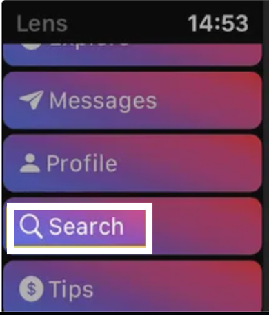 Instagram Search tab - Apple Watch