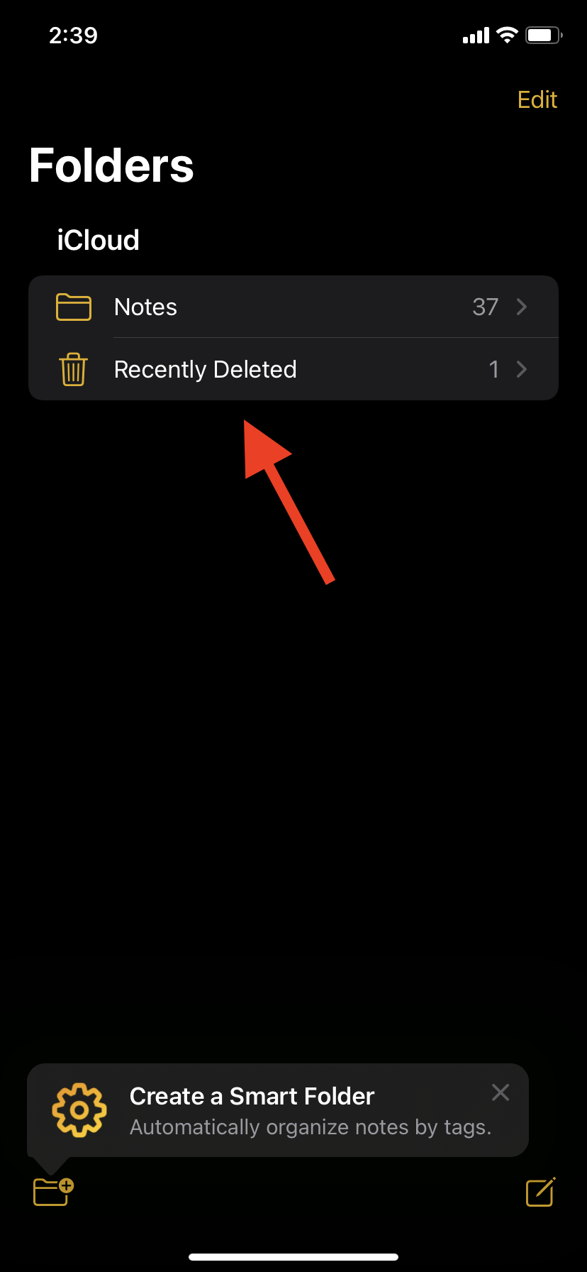 Tap on the 'Recently Deleted' folder