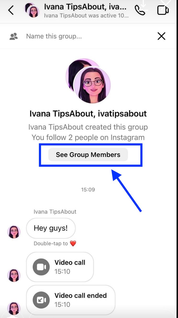 See all members - Instagram group chat options