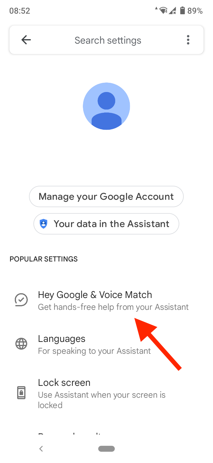 Tap on ‘Hey Google and Voice Match’