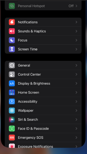 Access Settings on iPhone