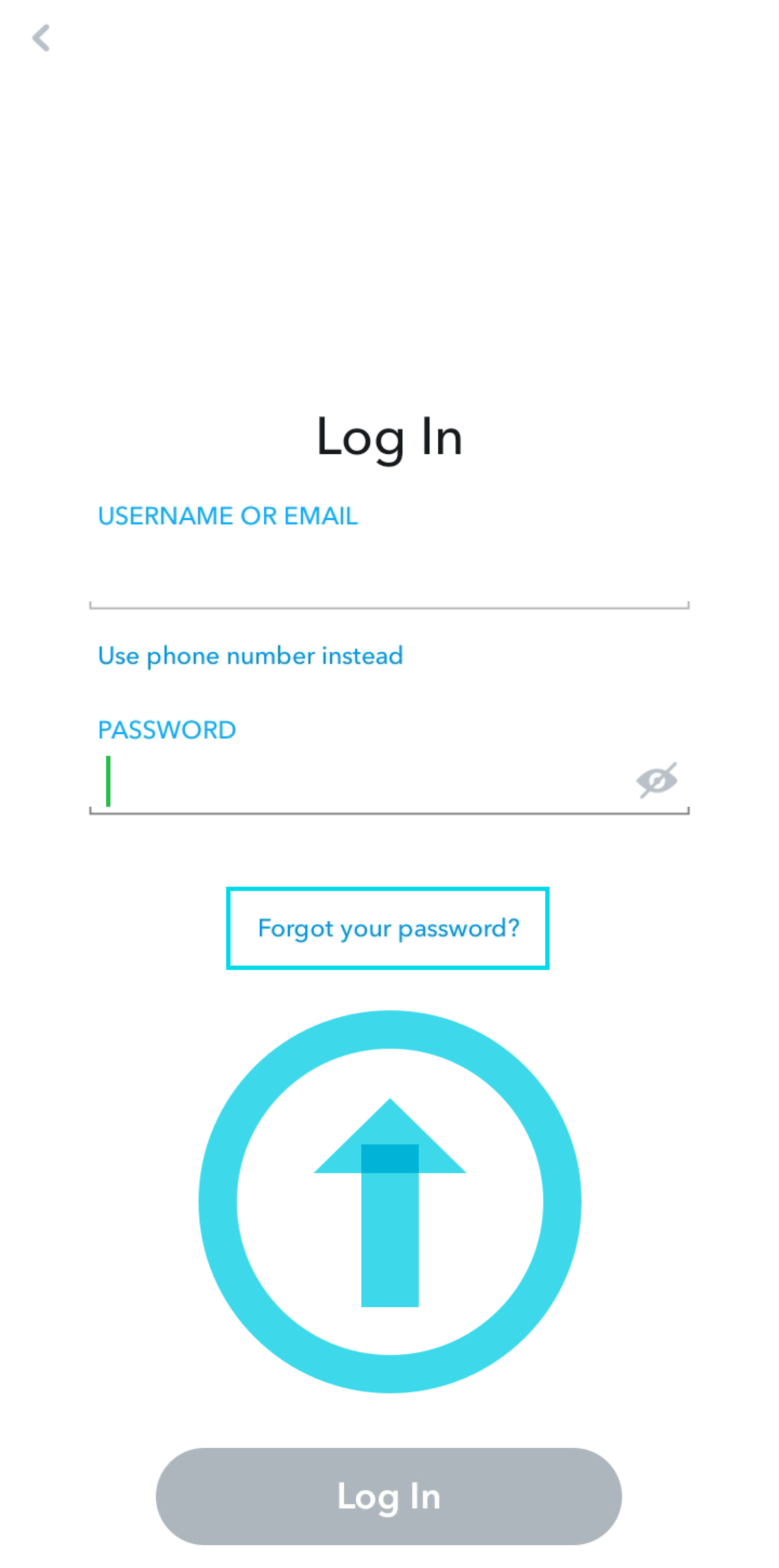 snapchat login page