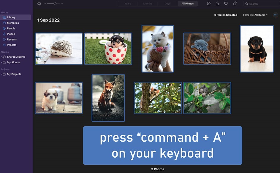Press Command + A on keyboard