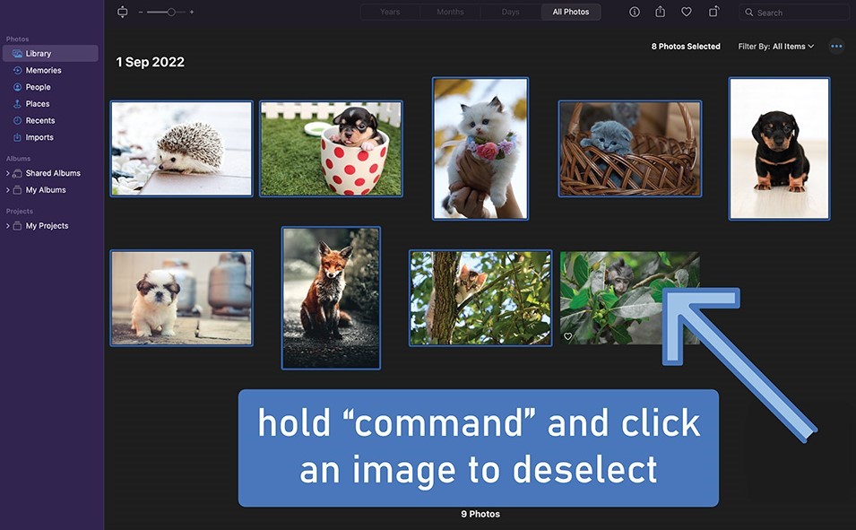 deselect images while holding the command key