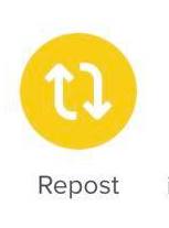 tiktok repost button