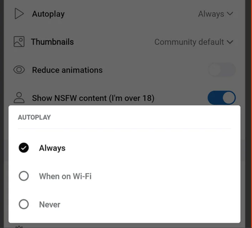 Set Autoplay to Never - Reddit options