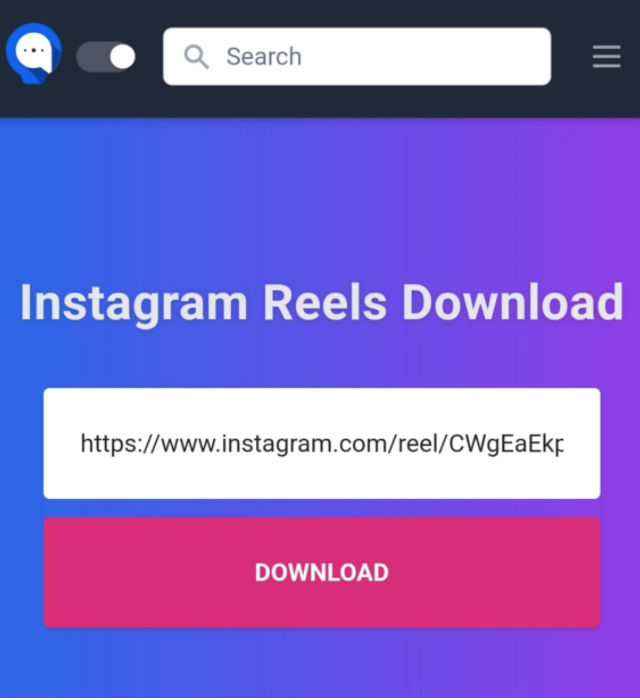 Instagram Reels downloader